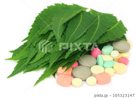 Pills made from medicinal neem leaves 105323147