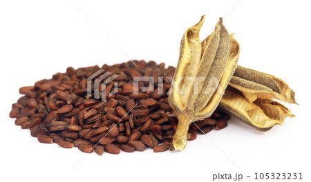 Sesame seeds Sesame seeds 105323231