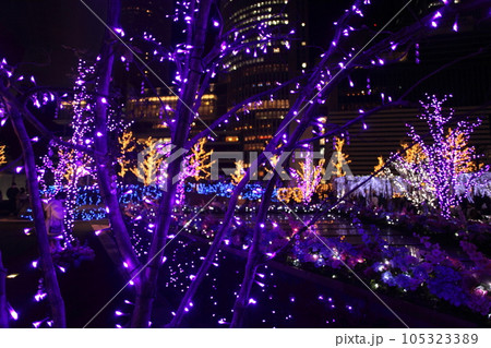 紫のイルミネーション　 105323389