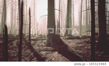 Forest fire in the afternoon Forest fire in the afternoon 105323464