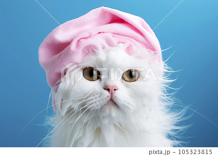 Funny wet white cat after a bath, wrapped in a pink towel. 105323815