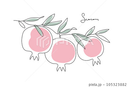Branch with pomegranates and leaves. Shana Tova.. Continuous line design vector illustration Branch with pomegranates and leaves. Shana Tova.. Continuous line design vector illustration 105323882