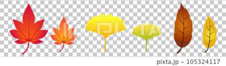 Illustration set material of autumn leaves _ ginkgo _ dead leaves Illustration set material of autumn leaves _ ginkgo _ dead leaves 105324117