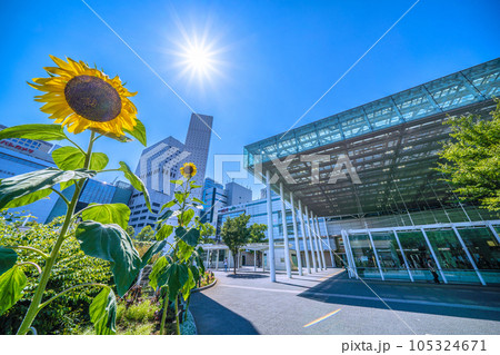 日本の川崎都市景観 夏。猛烈な暑さ、照りつける太陽光とひまわり。奥は川崎駅…＝7月26日 105324671