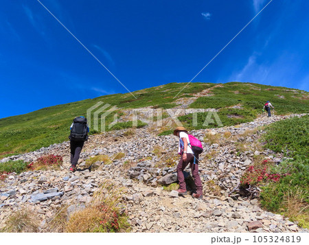 北アルプス鹿島槍ヶ岳へ向かう稜線を歩く女性と男性登山者 105324819