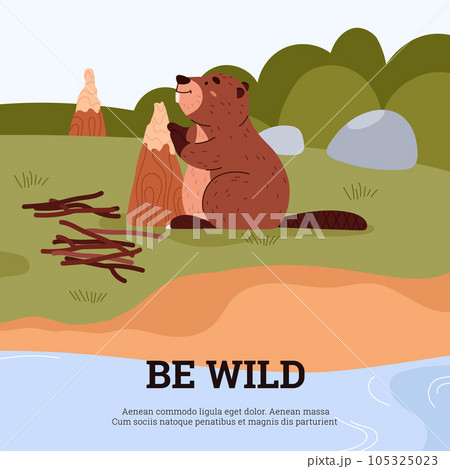 Cute cartoon beaver gnaws at tree, collects branches near the river, brown short-haired mammal vector wildlife poster Cute cartoon beaver gnaws at tree, collects branches near the river, brown short-haired mammal vector wildlife poster 105325023