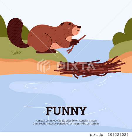 Cute cartoon beaver building a dam out of branches on lake, brown short-haired wild mammal animal vector wildlife poster Cute cartoon beaver building a dam out of branches on lake, brown short-haired wild mammal animal vector wildlife poster 105325025