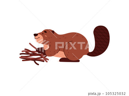Cute funny beaver folds branches side view flat style, vector illustration Cute funny beaver folds branches side view flat style, vector illustration 105325032