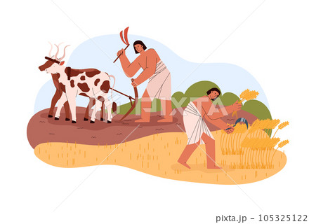 Egyptian people gather ears and plow field scene flat style, vector illustration Egyptian people gather ears and plow field scene flat style, vector illustration 105325122