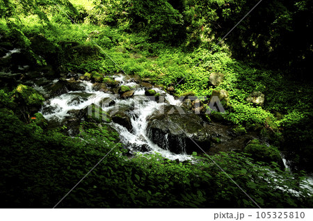 小川の水の流れ 小川の水の流れ 105325810