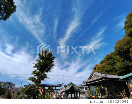 埼玉県深谷市東方の熊野大神社の空に昇る雲 埼玉県深谷市東方の熊野大神社の空に昇る雲 105326041