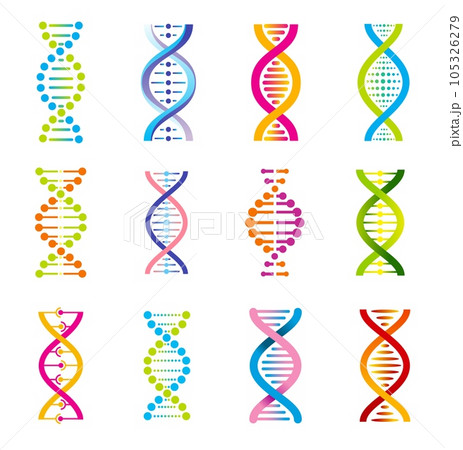DNA helix icons of genetics medicine vector design. Colorful genetic molecules of DNA strand, human chromosome chains, gene cells and codes, biotechnology, biology, chemistry or nanotechnology themes DNA helix icons of genetics medicine vector design. Colorful genetic molecules of DNA strand, human chromosome chains, gene cells and codes, biotechnology, biology, chemistry or nanotechnology themes 105326279