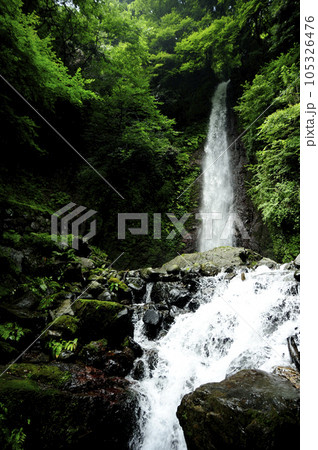滝の水 105326476