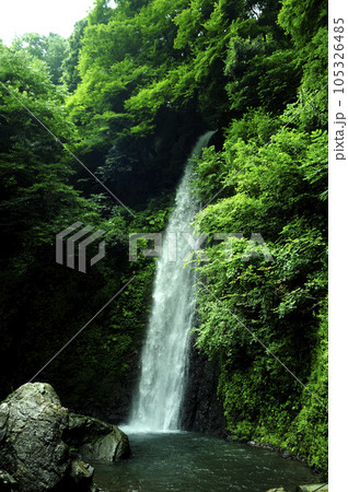 滝の水 105326485