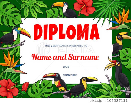Kids education diploma with cartoon vector toucan birds and jungle background frame border. Student diploma, certificate, award and honor gift with tropical exotic toucanets, palm leaves and flowers 105327131