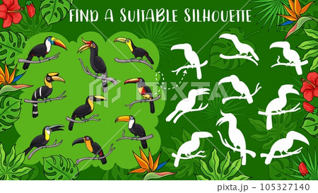 Cartoon toucan birds, vector kids game find toucan silhouette. Education puzzle, memory game, matching riddle or attention test with exotic tropical toucanet or toco, jungle and palm leaves bakground 105327140
