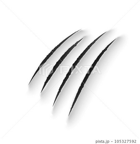 Tiger claw marks, scratches, wild animal vector talon rips. Predator nails trail, bear or cat paws sherds, realistic 3d marks of lion, monster, dragon or beast, break traces on white paper background Tiger claw marks, scratches, wild animal vector talon rips. Predator nails trail, bear or cat paws sherds, realistic 3d marks of lion, monster, dragon or beast, break traces on white paper background 105327592