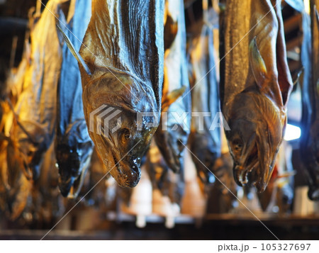 新潟・村上の塩引き鮭 105327697