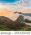 雲海　朝日 105328102