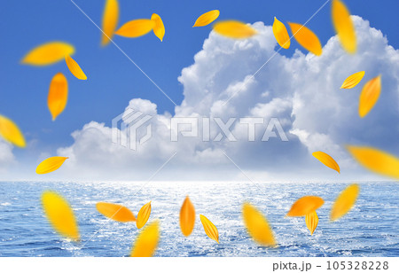 夏の海にヒマワリの花びらが舞う、きらめく背景イメージ 105328228