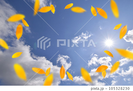 夏空にヒマワリの花びらが舞う、突き抜ける背景イメージ 105328230