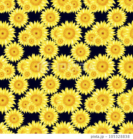 Hand drawn watercolor yellow sunflower seamless pattern isolated on black background. Can be used for Gift-wrapping, textile, fabric, wallpaper and other printed products. Hand drawn watercolor yellow sunflower seamless pattern isolated on black background. Can be used for Gift-wrapping, textile, fabric, wallpaper and other printed products. 105328838
