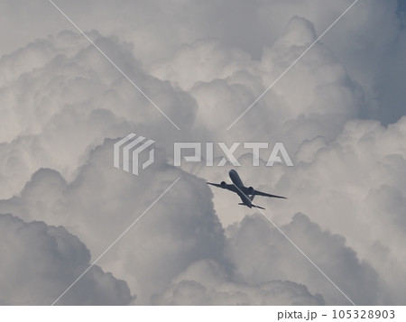 埼玉県川口市の上空に湧き上がる積乱雲を背景に飛ぶジェット旅客機 105328903