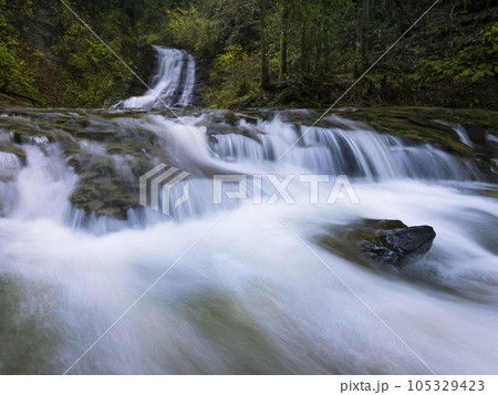 千葉県 養老渓谷・万代の滝 / Bandai Waterfall, Isumi, Japan 105329423