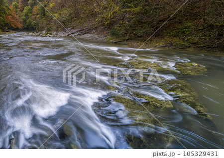 養老渓谷・養老川 / Yoro Valley, Isumi, Japan 105329431