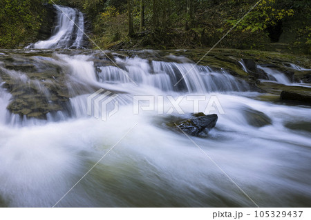 千葉県 養老渓谷・万代の滝 / Bandai Waterfall, Isumi, Japan 105329437