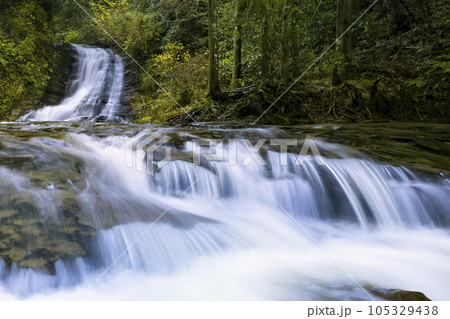千葉県 養老渓谷・万代の滝 / Bandai Waterfall, Isumi, Japan 105329438