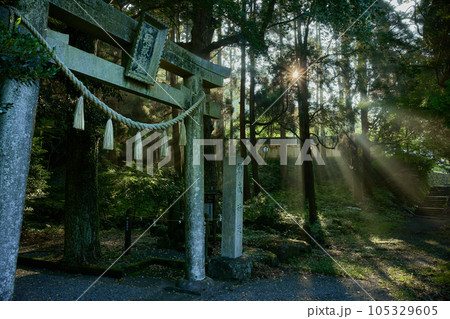 光芒差し込む朝の冠嶽神社 光芒差し込む朝の冠嶽神社 105329605