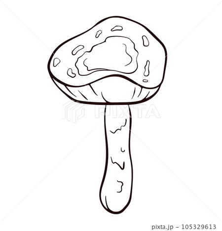 Inedible mushroom Deadly Dapperling black and white in line art style. Poisonous Lepiota brunneoincarnata hand drawn. Vector illustration isolated on a white background. 105329613