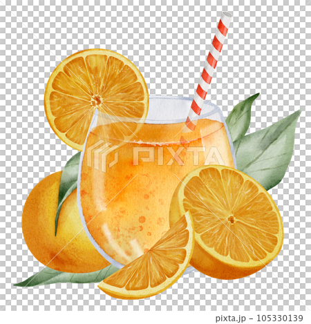 Orange Juice with tropical Fruits and leaves. Hand drawn watercolor illustration of glass with tangerine beverage on white isolated background. Drawing of citrus cocktail with slices of mandarin. Orange Juice with tropical Fruits and leaves. Hand drawn watercolor illustration of glass with tangerine beverage on white isolated background. Drawing of citrus cocktail with slices of mandarin. 105330139