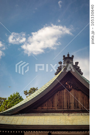 梅宮大社の夏、アオサギの飛ぶ夏空と拝殿の屋根 105330640