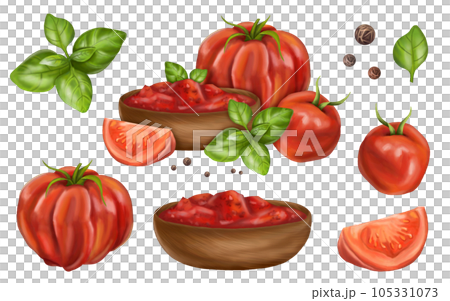 Vegetable set of ripe red tomatoes, basil leaves, pepper, a plate with red sauce. Farmer's harvest from the garden of useful organic plants. Fresh food for healthy diet. Digital isolated illustration. 105331073