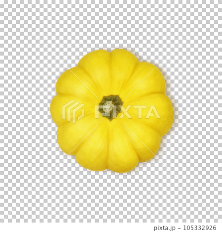 Halloween pumpkin illustration overhead view real Halloween pumpkin illustration overhead view real 105332926