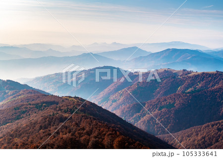 Aautumn mountains range with red beech forest 105333641