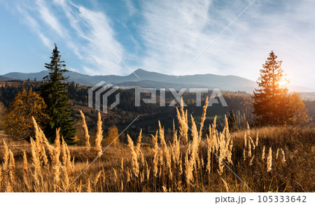 Amazing scene on autumn mountains 105333642