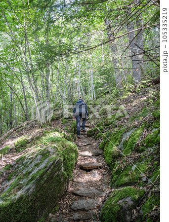 Girl hiking at Lake Ragnerudssjoen in Dalsland Sweden beautiful nature forest pinetree swedish 105335219