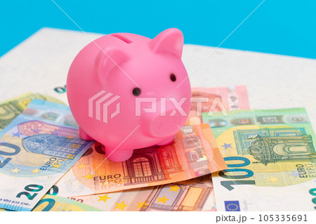 Pink Piggy Bank on the Euro Banknotes Pink Piggy Bank on the Euro Banknotes 105335691