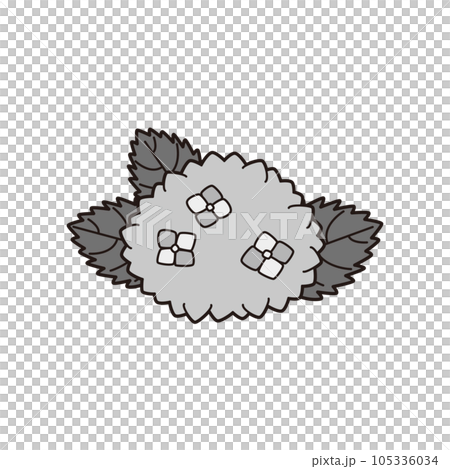 繡球花插圖單色 繡球花插圖單色 105336034