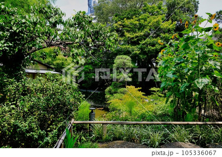東京都　練馬区立向山庭園 105336067