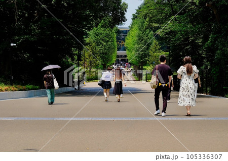 東京都練馬区 練馬城址公園 エントランス広場 東京都練馬区 練馬城址公園 エントランス広場 105336307