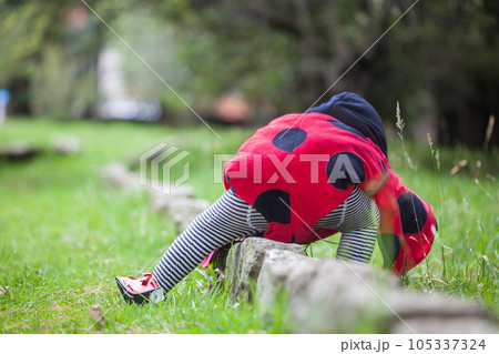 Little baby girl wearing a ladybug costume. Halloween concept. 105337324
