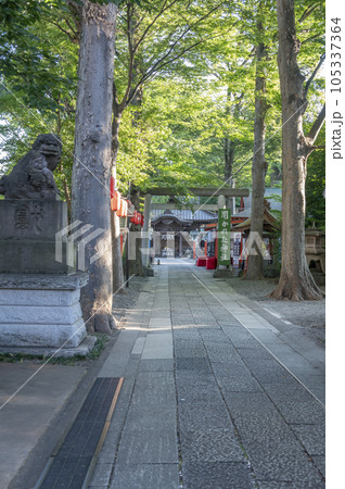 田無神社龍神の道 田無神社龍神の道 105337364
