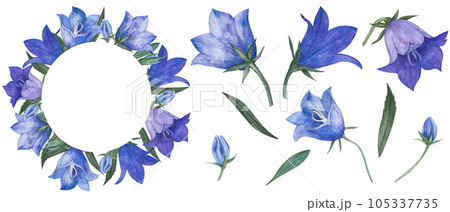 Watercolor wreath with floral wildflowers, wildflowers, bluebell buds, anemones, cosmea flower, echinacea, composition with isolated elements,constructor for packaging, postcards, wedding design. Watercolor wreath with floral wildflowers, wildflowers, bluebell buds, anemones, cosmea flower, echinacea, composition with isolated elements,constructor for packaging, postcards, wedding design. 105337735