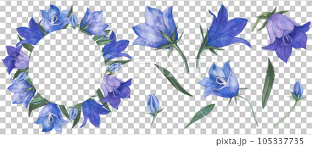 Watercolor wreath with floral wildflowers, wildflowers, bluebell buds, anemones, cosmea flower, echinacea, composition with isolated elements,constructor for packaging, postcards, wedding design. Watercolor wreath with floral wildflowers, wildflowers, bluebell buds, anemones, cosmea flower, echinacea, composition with isolated elements,constructor for packaging, postcards, wedding design. 105337735