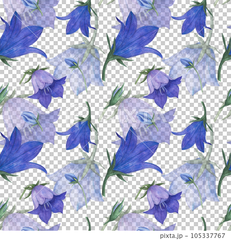 Seamless pattern with bluebell, spreading bellflower flowers Campanula patula, little bell, rapunzel, harebell . Watercolor hand painting illustration on isolate white background. 105337767