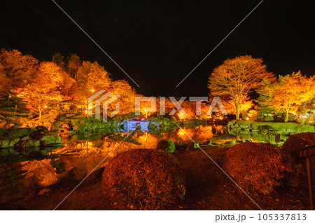 ライトアップされた紅葉・日本庭園 105337813